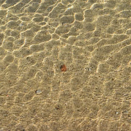 Apartments Villa Andreja Apartment *